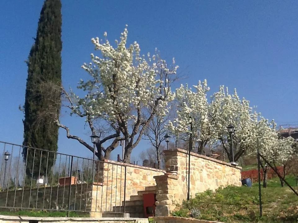 Casatorta Bed & Breakfast Vicchio Italy